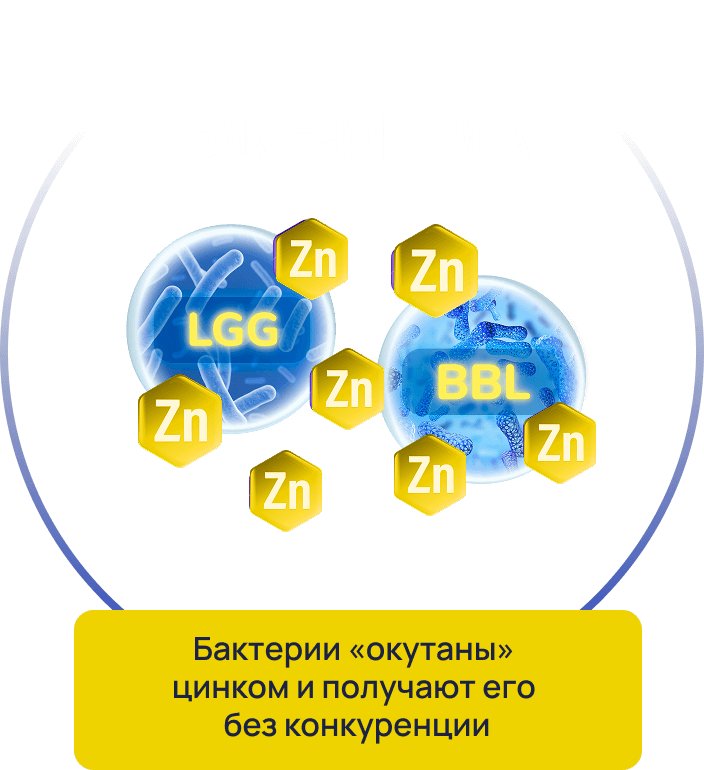 Бактерии + Цинк
